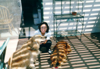[20000410_08.jpg]